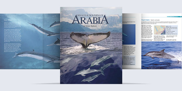 Whales-and-Dolphins-of-Arabia