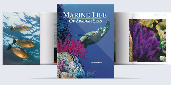 Marine Life of Arabian Seas