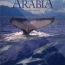 Whales and Dolphins of Arabia