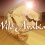 Wild Arabia - BBC Two